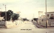 rue du parc1988